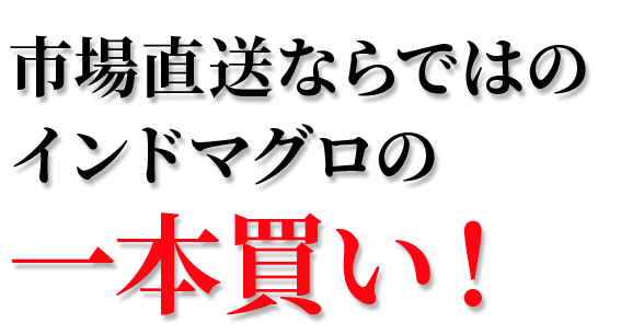 市場直送ならではのインドマグロの一本買い！